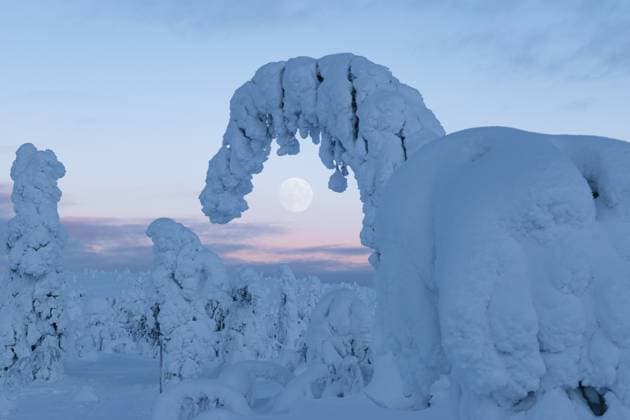 Creative Highlights World large full moon in a winter park in Lapland, Finland Kuusamo, North Ostrobothnia, Finland CR_PJJZ231113H-1284023-01