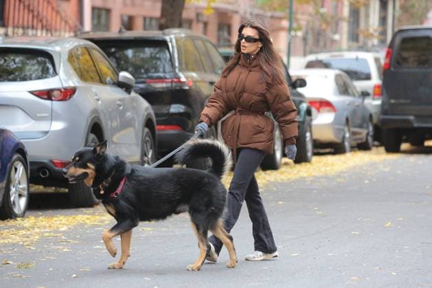 Entertainment Themen der Woche KW47 Emily Ratajkowski wears a brown puffer jacket as she walks her dog Colombo in New York City Featuring: Emily Ratajkowski Where: New York, New York, United States When: 21 Nov 2023 Credit: BauerGriffin INSTARimages EDITORIAL USE ONLY. NOT FOR USE BY NEWSPAPERS BASED IN THE UK. Copyright: xIgnatx 53230076