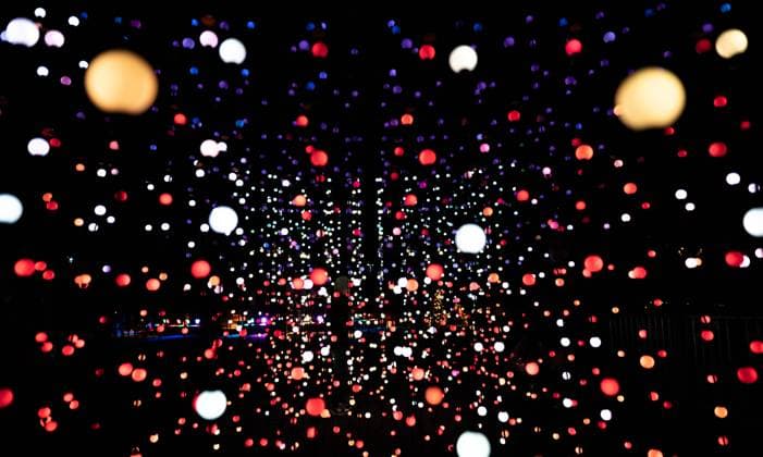 Numerous lights glow in the dark in an installation in the Christmas Garden on the island of Mainau Mainau Baden Württemberg Germany