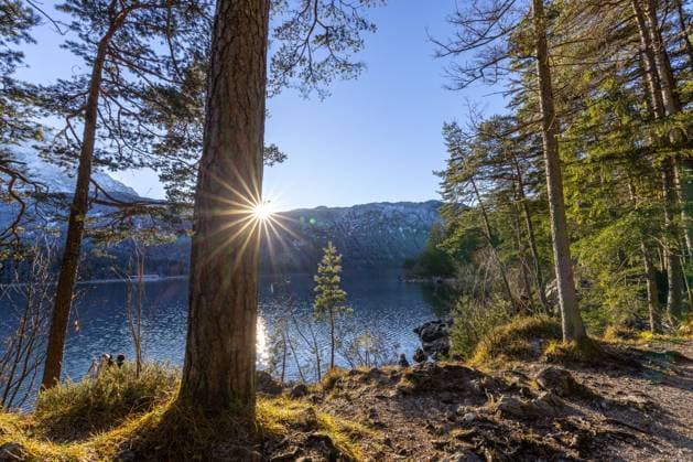 Abendstimmung am Eibsee Die Abendsonne scheint auf die Landschaft am Eibsee unterhalb der Zugspitze., Grainau Deutschland *** Evening atmosphere at the Eibsee The evening sun shines on the landscape at the Eibsee below the Zugspitze , Grainau Germany