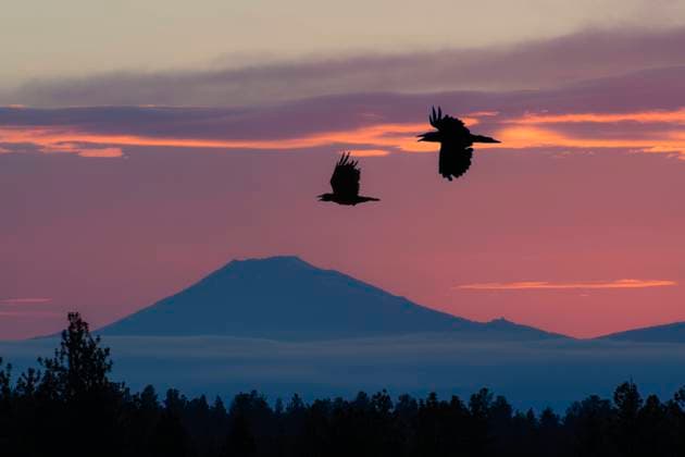 USA, Oregon, Central, Bend, Rancho las Herbas, Mount bachelor and raven, Mount bachelor, unet 