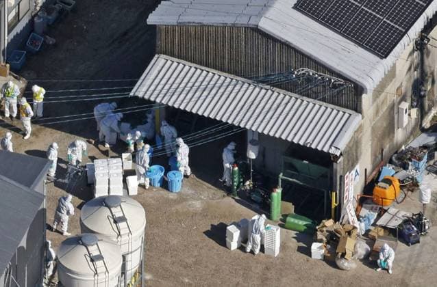 News Themen der Woche KW47 News Bilder des Tages Season s first bird flu in Japan Photo taken from a Kyodo News helicopter on Nov. 25, 2023, shows officials in protective suits working to cull about 40,000 chickens at a poultry farm in Kashima in Saga Prefecture, southwestern Japan, after the season s first outbreak of bird flu across the country was confirmed there.  A14AA0002169248P