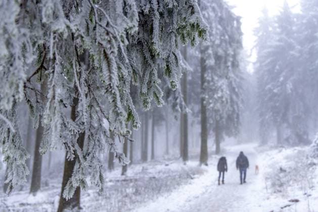 News Themen der Woche KW47 News Bilder des Tages Winter im Taunus Die Landschaft am Großen Feldberg im Taunus zeigt sich am Samstag winterlich mit Schnee und Raureif., Schmitten Hessen Deutschland *** Winter in the Taunus The landscape on the Großer Feldberg in the Taunus is wintry with snow and hoarfrost on Saturday , Schmitten Hessen Germany
