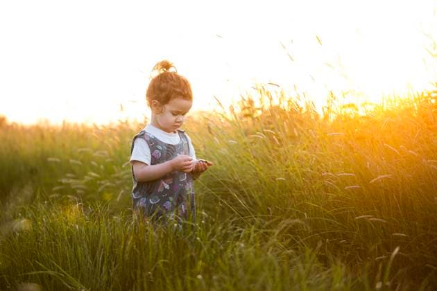 Creative Highlights Symbolbilder A young girl searching through a field at sunset Wallingford, England, United Kingdom CR_JAPARY231127-1284333-01 ,model released, Symbolfoto