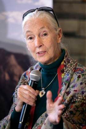 IMAGO ICONS: Jane Goodall E27041604.JPG CIUDAD DE MÉXICO Ecology Ecoogía-Jane Goodall.- La primatóloga y conservacionista británica, Jane Goodall, en conferencia de prensa, el miércoles 27 de mayo de 2016. Foto: Agencia LE UNIVERSAL Iván Stephens JMA EDITORIAL USE ONLY  Copyright: xx x universalpix348259
