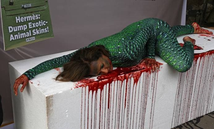 News Themen der Woche KW48 News Bilder des Tages PETA India director Poorva Joshipura calls for ban on use of exotic animals skin in Mumbai, India - 01 Dec 2023 Activist for the Ethical Treatment of Animals (PETA India) director Poorva Joshipura wearing a alligator-skin costume and lying in a pool of (fake) blood on a thermocol table is seen outside the French fashion store Hermes in Mumbai. The PETA India director Poorva Joshipura calls on the French fashion house Hermes to ban the use of alligators, crocodiles and other exotic animals who are tormented and killed for their skins to make leather bags and accessories by the brand. Mumbai India Copyright: xAshishxVaishnavx xSOPAxImagesx AVaishnav_PETA India director Poorva Joshipura calls for ban on use of exotic animals skin used (4)