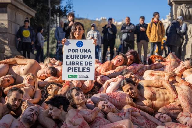 News Themen der Woche KW48 News Bilder des Tages December 3, 2023, Barcelona, Barcelona, Spain: Activists from the animal association Anima Naturalis strip naked and put blood on their skin in protest against the fur industry. The action wants to put pressure on the European Commission to make a final decision on the ban on fur farms throughout the European Community. Barcelona Spain - ZUMAa239 20231203_zip_a239_006 Copyright: xMarcxAsensioxClupesx