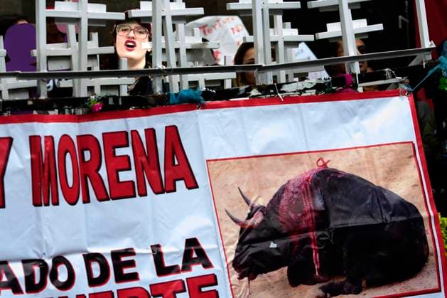 December 6, 2023, Mexico City, Mexico City, Mexico: Animal rights activists protest outside the Supreme Court of the Nation, where the revocation of the ban on bullfighting in the monumental Plaza Mexico, which has been in effect since 2022, was in session..Today, the Supreme Court of Justice of the Nation revoked the suspension so that this activity may return to the country s capital. Mexico City Mexico - ZUMAn296 20231206_zip_n296_002 Copyright: xJorgexNunezx