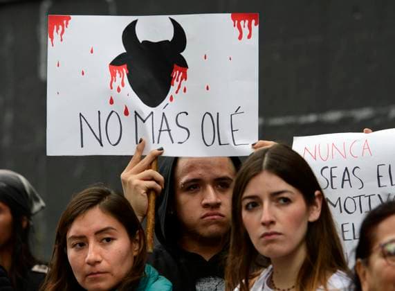 December 6, 2023, Mexico City, Mexico City, Mexico: Animal rights activists protest outside the Supreme Court of the Nation, where the revocation of the ban on bullfighting in the monumental Plaza Mexico, which has been in effect since 2022, was in session..Today, the Supreme Court of Justice of the Nation revoked the suspension so that this activity may return to the country s capital. Mexico City Mexico - ZUMAn296 20231206_zip_n296_013 Copyright: xJorgexNunezx