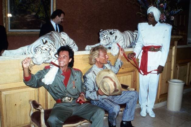 Mensch Meier, Spielshow, 1987, Siegfried und Roy, deutsch-amerikanische Zauberkünstler, Gäste der Show, hier beim Fototermin mit ihren weißen Tigern. Copyright: HartwigxValdmanis Nur redaktionelle Nutzung. Editorial usage only. VAL_720101142