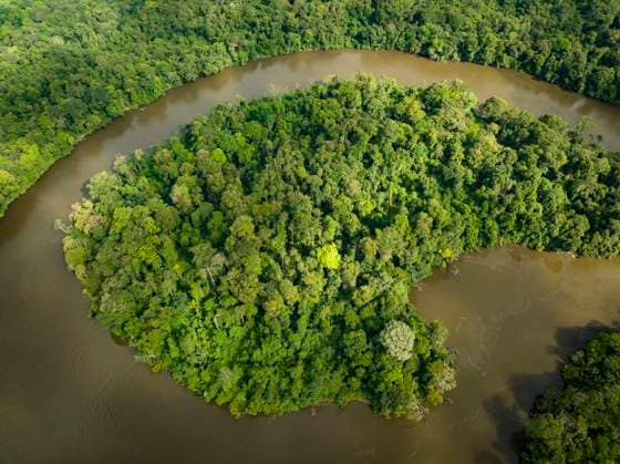 Guyane, outre-mer, amazonie, forêt, biodiversité Florian Launette & Mégane Chêne MAXPPP - Talhuwen 07 12 2023 Guyane- Forêt Amazonienne. Illustration rivière Amazonie Illustration sur Talhuwen, également orthographié comme Taluwen, Taluhen ou Taluen, est un village Wayana situé sur la rivière Lawa en Guyane. La Guyane est une collectivité territoriale unique française située en Amérique du Sud, limitrophe du Brésil au sud-est et au sud et du Suriname à l ouest. Elle est la seule collectivité française d outre-mer de nature continentale. Ses compétences, identiques aux autres régions et départements de France, sont regroupées depuis 2015 dans le cadre d une collectivité territoriale unique dont l organe délibérant est l assemblée de  Copyright: xMAXPPPxFlorianxLaunettex&xMéganexChênex LAU202312074916 LAU202312074916