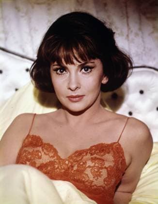 Film Strange Bedfellows Actress Gina Lollobrigida portrait while shooting the film Los Angeles, CA USA  Copyright: xLeoxFuchsx 0969 Gina Lollobrigida portrait SBF