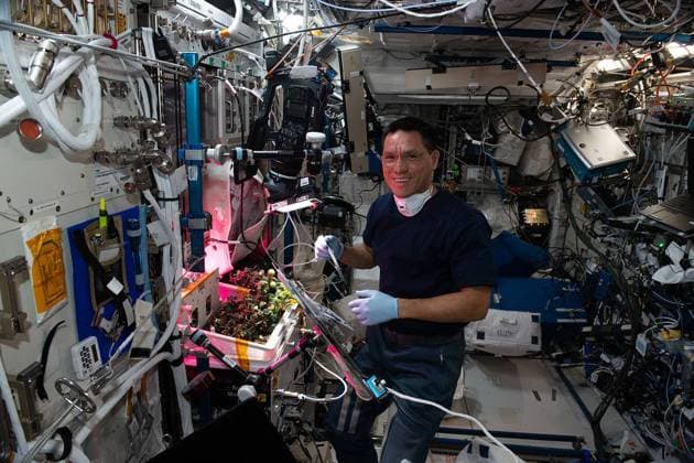 December 8, 2023: After Rubio harvested one of the first tomatoes ever grown in space earlier this year, according to the astronaut, he admitted he misplaced it. In the microgravity environment of space, anything not anchored to a wall is at risk of floating away, destined to spend eternity hidden behind a nook or cranny within the football field-size orbiting laboratory and its labyrinthian passageways. Rubio said he probably spent eight to 20 hours of his own free time just searching for that tomato. Members on the space station said they located the tomato. PICTURED: astronaut Frank Rubio checks tomato plants inside the International Space Station in October 2022. The tomatoes were grown without soil using hydroponic techniques to demo - ZUMAz03_ 20231208_shs_z03_037 Copyright: xNASAx
