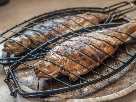 Two grilled trout fish Two grilled whole trout fish ready for serving Copyright: xZoonar.com RomanxMilertx 20714567