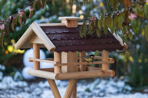 Great tit sits in bird feeder in winter Great tit (Parus major) sits in bird feeder in winter and looks out Copyright: xZoonar.com AxelxJahnkex 20718859
