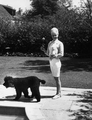 Doris Day At Home Actress Doris Day with a rose and her dog at her house Los Angeles, CA USA  Copyright: xLeoxFuchsx R0023-Day