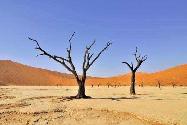 Creative Highlights World Tote Bäume (Acacia erioloba) im Deadvlei, Dead Vlei, einer weißen Lehmpfanne im Namib Naukluft Nationalpark, Namibia, Afrika *** Dead Trees Acacia erioloba at Deadvlei, Dead Vlei, a white Lehmpfanne at Namib Naukluft National Park, Namibia, Africa Copyright: imageBROKER alimdix xArterrax xLoulouxBeavers ibltsm09936086.jpg