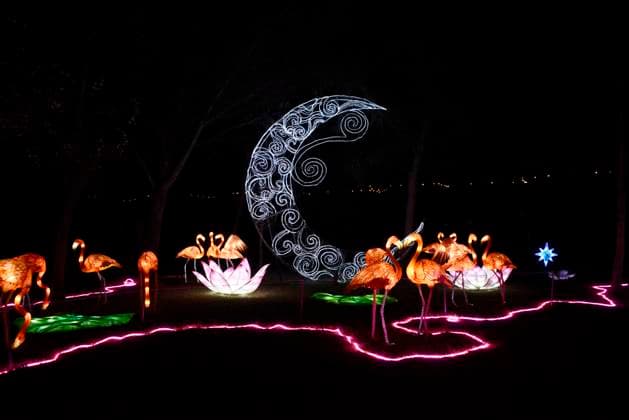 Brilla Fest, A Christmas in the Forest December 18, 2023, Mexico City, Mexico: Tourists take advantage of the Christmas holidays to enjoy the Christmas village in the largest Christmas theme park in Latin America Brilla Fest, A Christmas in the Forest , it has giant illuminated figures and themed areas and a special Winter Lantern theme park elaborated by Chinese artisans. on December 18, 2023 in Mexico City, Mexico (Photo by Carlos Tischler Eyepix Group) Copyright: xCarlosxTischler xEyepixxGroupx CT_18122023_107563