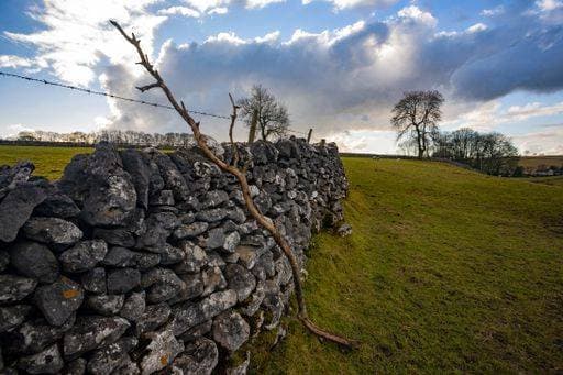 A stone wall surrounded by greenery under a cloudy sky during the sunset in the Peak District 240884 RECORD DATE NOT STATED