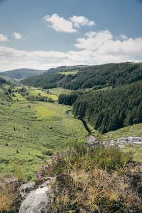 A clear view of Wicklow Mountains National Park Ballynabrocky on Ireland 350262 RECORD DATE NOT STATED