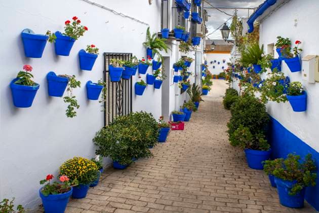 Barrio del Huerto francÃ s in Canete de las torres in Cordoba province, Andalusia, southern Spain. The municipality of Canete de las Torres with barely 3,000 inhabitants, is located about 49 kilometers east of Cordoba, already on the border with the province of JaÃ n. Its landscape represents an amalgamation of extensive olive groves, wheat fields and sunflowers. As one goes deeper into the urban nucleus, its narrow and winding streets begin to appear that give shelter to its typical whitewashed houses. Among its monuments, the Tower stands out, a relic of the old medieval castle, built in the first half of the 14th century on a Muslim fortress, now incorporated into the Plaza de Andalucia, and La Tercia, an 18th-century industrial bui Copyright: xSergixReboredox xVWPicsx SRE-FX2410