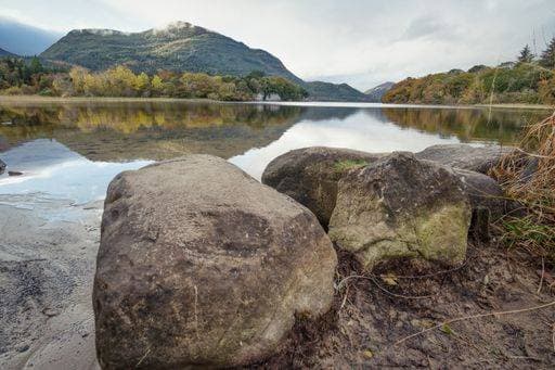 A Muckross lake in Killarney National park Ireland 536623 RECORD DATE NOT STATED