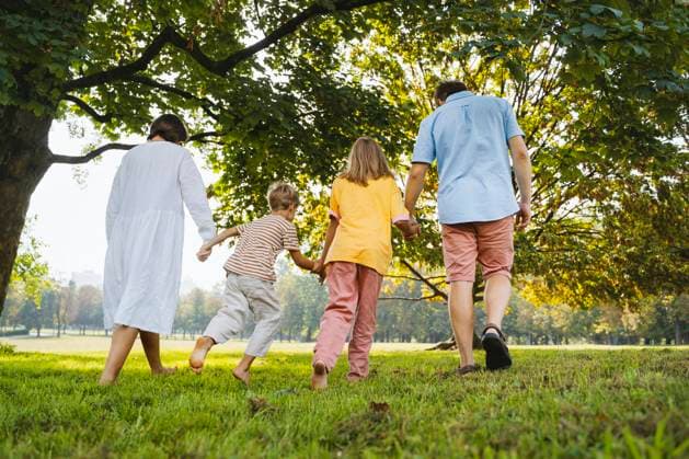 Family holding hands and walking on grass at park model released, Symbolfoto, NDEF01430