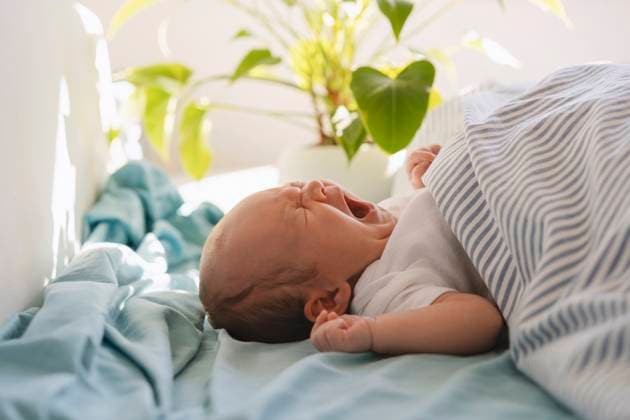 Creative Highlights Symbolbilder Newborn baby boy lying and yawning under blanket in bed at home model released, Symbolfoto property released, NDEF01478