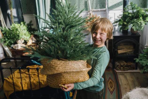 Smiling boy holding Christmas tree in basket at home model released, Symbolfoto property released, VBUF00522