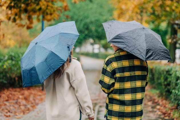Mother and daughter holding umbrellas and walking in autumn park model released, Symbolfoto, VSNF01472
