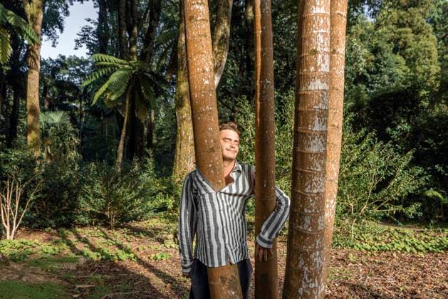 Creative Highlights Symbolbilder Smiling young man standing with tree inside striped shirt in forest model released, Symbolfoto, WVF02086