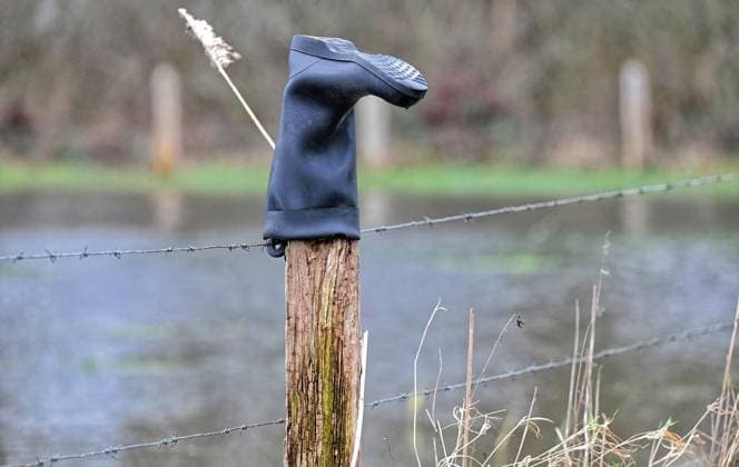 News Themen der Woche KW52 News Bilder des Tages Hochwasser am Niederrhein ** NUR FÜR REDAKTIONELLE ZWECKE ** EDITORIAL USE ONLY **<p>Ein Gummistiefel steckt am 29.Dezember 2023 an einem Zaunpfahl in Isselburg Anholt. Durch die heftigen Niederschläge sind die Böden so mit Wasser geträngt das es nur sehr langsam in den Boden einsickern kann. Deutschland Isselburg Copyright: ThorstenxLindekamp *** Flooding on the Lower Rhine FOR EDITORIAL PURPOSES ONLY EDITORIAL USE ONLY p A rubber boot is stuck to a fence post in Isselburg Anholt on December 29, 2023 Due to the heavy rainfall, the soil is so saturated with water that it can only seep into the ground very slowly Germany Isselburg Copyright ThorstenxLindekamp Copyright: ThorstenxLindekamp doc7tgv6qxzmrsxcelwduo ,EDITORIAL USE ONLY