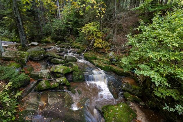 Schlesien Karkonoski Park Narodowy (Nationalpark Riesengebirge) bei Schreiberhau (Szklarska PorÄ™ba). Szklarska PorÄ™ba Schlesien Polen *** Silesia Karkonoski Park Narodowy National Park Giant Mountains near Schreiberhau Szklarska PorÄ™ba Szklarska PorÄ™ba Silesia Poland