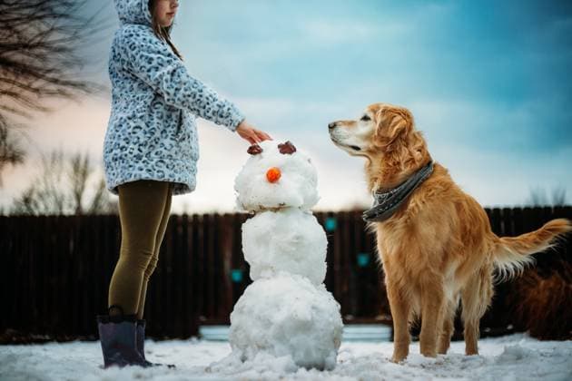 Girl building snowman with her Gold retriever Tulsa, Oklahoma, United States CR_KRRY231229-1313864-01 ,model released, Symbolfoto