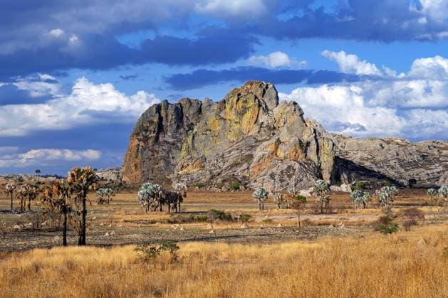 Creative Highlights World Erodierte Sandsteinfelsformation, Felsvorsprung im Isalo Nationalpark, Region Ihorombe, Provinz Fianarantsoa, Madagaskar, Afrika *** Erodierte Sandstone rock formation, Rock outcrop at Isalo National Park, Region Ihorombe, Province Fianarantsoa, Madagascar, Africa Copyright: imageBROKER/alimdix/xArterrax/xMaricaxvanxderxMeer ibltsm10003736.jpg