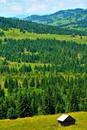 A vertical shot of the Stolowe Mountains in National Park Szczytna Poland 1273122 RECORD DATE NOT STATED