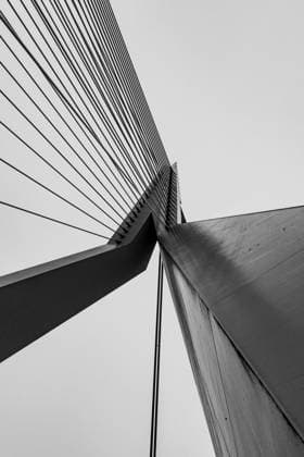 Creative Highlights World Black and white upward perspective of the Erasmus Bridge s cable structure in Rotterdam, Netherlands Model Released AddventurePhoto_ID17406_528786_015 Copyright: xAddventurexPhotox RECORD DATE NOT STATED