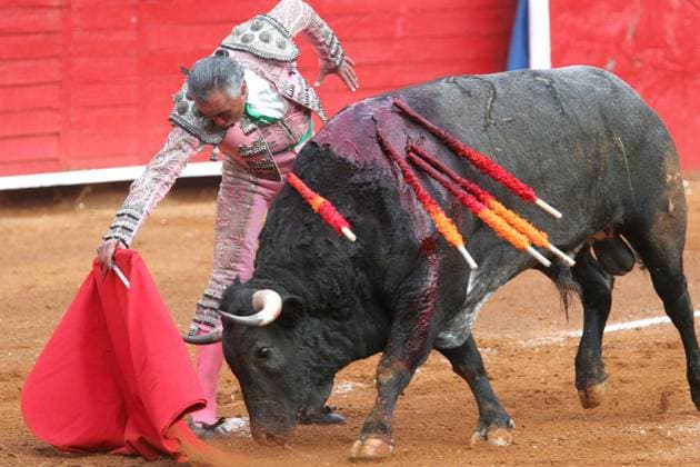 D02061609.JPG MEXICO Bullfighting Toros-El Pana.- El torero mexicano Rodolfo Rodriguez, Â El PanaÂ , fallecio este jueves a causa de un paro cardiaco, confirmo el doctor Francisco Preciado a Heriberto Murrieta, columnista de EL UNIVERSAL. Foto: archivo Agencia EL UNIVERSAL RCC Mo xico EDITORIAL USE ONLY  Copyright: xGDA ElxUniversal Mo xicox-xTodosxlosxderechosxreservados.xProhibidoxelxusoxoxreproducci&oacute;nxdexestaximagenxenxMo xicox GDA ElxUniversal MÃ xicox mxeluniversalpic272380