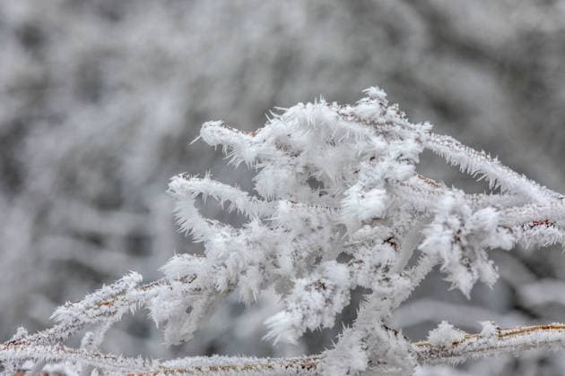 240107Frostluft News ID: EN 2024-01-07-02 Frostluft erreicht Sachsen Raureif sorgt für eisige Landschaft Zwönitz. Wer am heutigen Sonntag zu einem Spaziergang nach draußen gegangen ist, dürfte die deutlich kältere Luft bemerkt haben. Ein Hochdruckgebiet über Großbritannien sorgt derzeit dafür, dass deutlich kältere Luft nach Deutschland und auch Sachsen fließt. Die milden Temperaturen der letzten Wochen sind daher nun erst einmal Geschichte. Verbreitet herrschte im Erzgebirge heute Dauerfrost. In der kommenden Nacht soll laut den aktuellen Wetterprognosen, das Thermometer weiter in den zweistelligen Frostbereich sinken. So werden für das Erzgebirge am Montagmorgen, Temperaturen zwischen minus 11 und minus 13 Grad prognostizi