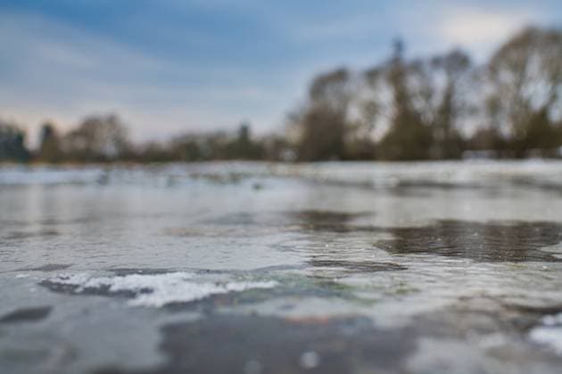 A frozen field in Tetcice, Brno region, Czech Republic, January 8, 2024. The current frosty weather may cause damage to winter crops in some areas. (CTKxPhoto PatrikxUhlir) CTKPhotoP2024010805077  CTKPhotoP2024010805077