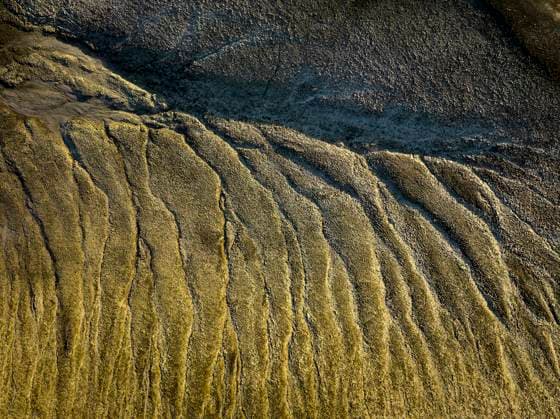 Creative Highlights World Dry land with golden green surface Selfoss, Iceland CR_OSBJ240105-1295234-01