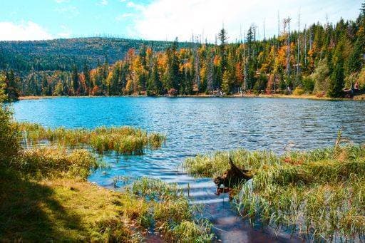 Autumn view of Lake Laka in Sumava National Park 1928192 RECORD DATE NOT STATED