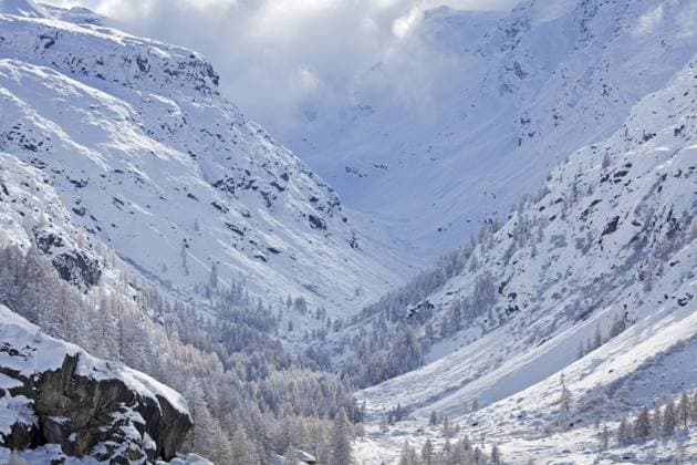 Lärchen im Schnee im Winter im Gebirgstal des Nationalparks Gran Paradiso, Aostatal, Italien, Europa *** Larches at Snow at Winter at Gebirgstal of National Parks Gran Paradiso, Aosta Valley, Italy, Europe Copyright: imageBROKER alimdix xArterrax xSven-ErikxArndt ibltsm10062207.jpg