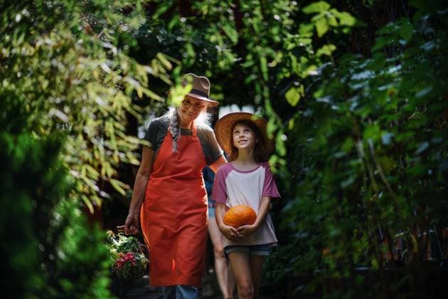 IMAGO Creative: Sommer, Sommertage im Garten Happy little farmer girl with mother and grandmother looking at camera outdoors at garden A happy little farmer girl with mother and grandmother looking at camera outdoors at garden model released Copyright: xx Community_Farming_II_2021_120