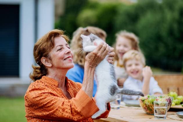 IMAGO Creative: Sommer, Sommertage im Garten Happy grandma cuddling kitty cat at multigeneration garden party. Happy grandma sitting and cuddling kitty cat at multigeneration garden party. model released Copyright: xx HHH FAMILY POOL PARTY 2022 HHH 037
