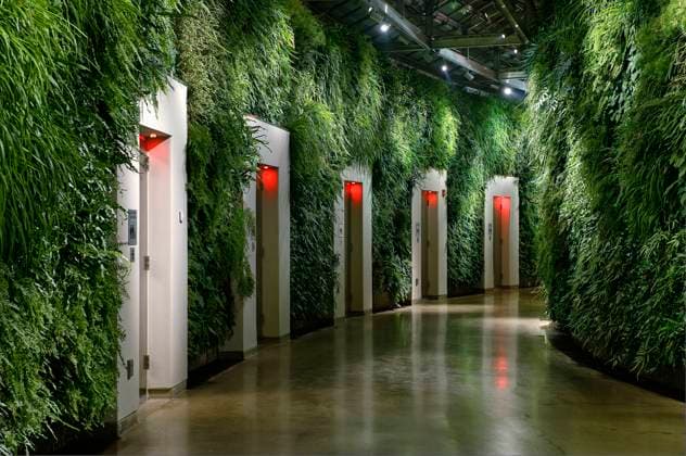 Living wall at Longwood Gardens Pennsylvania Living wall in East Conservatory, Longwood Gardens, Kennet Square, Pennsylvania, USA. Kennet Square Pennsylvania United States EDITORIAL USE ONLY Copyright: xJohnxGreimx JohnxGreimx jgrmphotos004465