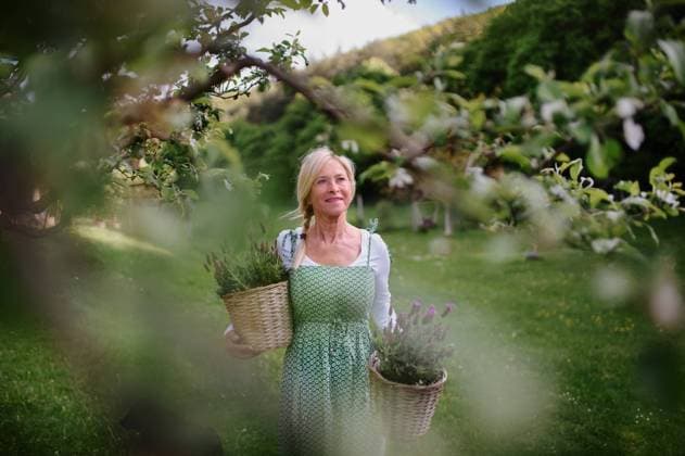 IMAGO Creative: Sommer, Sommertage im Garten Happy senior woman florist carrying baskets with planted lavender outdoors in garden. A portrait of happy senior woman florist carrying baskets with planted lavender outdoors in garden. model released Copyright: xx Three Senior Friends at home 273