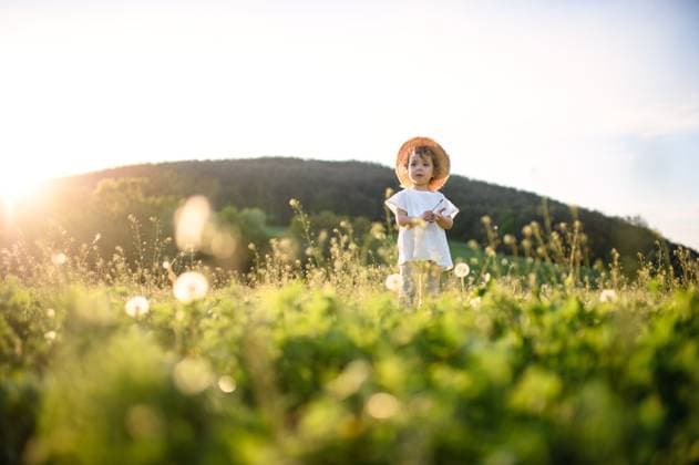 Small toddler girl standing on meadow outdoors in summer. Copy space. Portrait of small toddler girl standing on meadow outdoors in summer. Copy space. model released Copyright: xx Gitka Anna Gardening 156