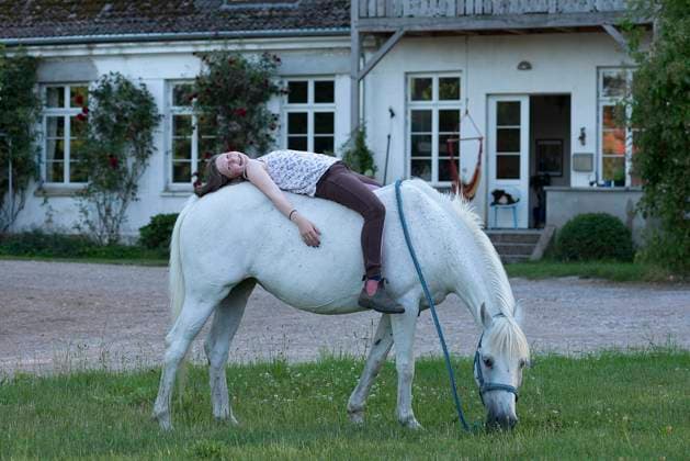 IMAGO Creative, Kinder auf dem Reiterhof Mädchen, 10 Jahre liegt auf ihrem Pferd, Othenstorf, Mecklenburg-Vorpommern, Deutschland, Europa *** Girls, 10 Years is at their Horse, Othenstorf, Mecklenburg Western Pomerania, Germany, Europe Copyright: imageBROKER/HelmutxMeyerxzurxCapellen ibxmzc10061043.jpg ,model released, Symbolfoto ,property released