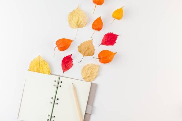 Notebook with flying dried flowers and leaves Creative Top view flat lay autumn composition. Notebook dried orange flowers leaves background copy space. Template notepad mockup fall harvest thanksgiving halloween anniversary invitation cards Copyright: xZoonar.com AnastasiaxZolotnitskayax 20834409